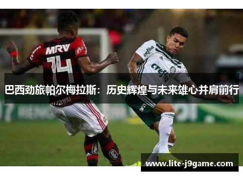 巴西劲旅帕尔梅拉斯:历史辉煌与未来雄心并肩前行 巴西劲旅帕尔梅拉斯:历史辉煌与未来雄心并肩前行