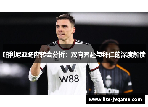 帕利尼亚冬窗转会分析：双向奔赴与拜仁的深度解读